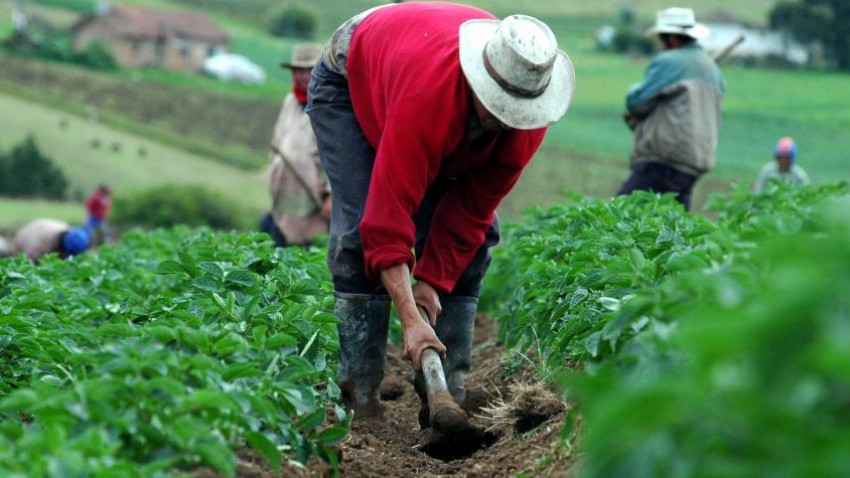 Revolución en la atención al campo